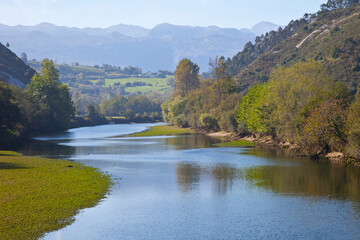 Fototapeta premium Río Deva, Molleda, Cantabria