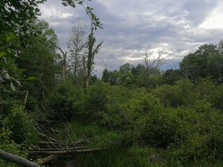 Moraine State Park, Pleasant Valley Road, Portersville, PA - June 2020