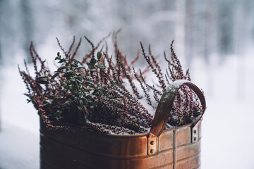 Lantern, flowers pot covered with the snow on a terrace on the snowy and frosty forest background....