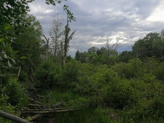 Moraine State Park, Pleasant Valley Road, Portersville, PA - June 2020