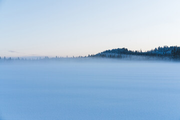 Beautiful blue winter blurred snow background with free space for your text. Winter background, winter landscape with copy space. Foggy winter morning. Frosty haze. Snowy forest on the horizon.