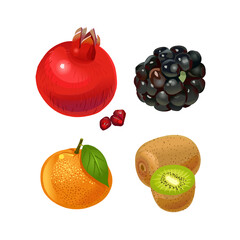 Fruit. Pomegranate, blackberry, orange, kiwi. Vector illustration isolated on white background.