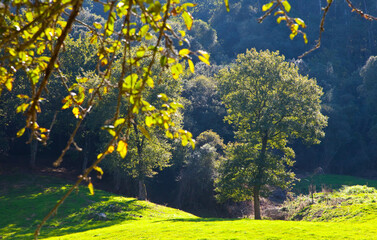 Campiña en la ribera del río Nansa, Camijanes, Cantabria