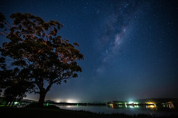 Gum tree, stars, and the Milky Way at the waterfront