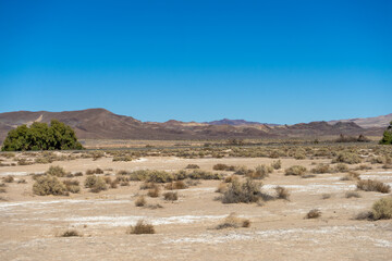 Panoramic view of the Mojave Desert with open land and mountains