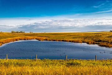 Ponds in farmers filedsin fall. Rockyview County, Alberta, Canada
