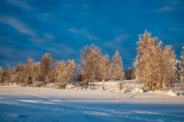 Winter landscape in a quiet Karelian forest.