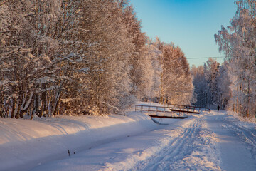 Winter landscape in a quiet Karelian forest.