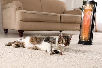 Cute cat on floor near modern electric halogen heater indoors