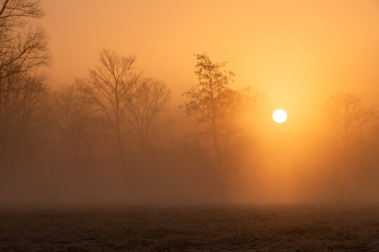 Durch Saharastaub gelb gef&auml;rbter Sonnenaufgang