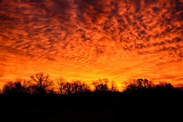 Dramatic morning sky before sunrise, with yellow and orange hues against silhouetted trees in rural landscape