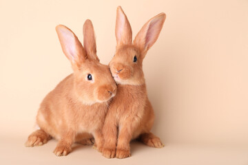 Cute bunnies on beige background, space for text. Easter symbol