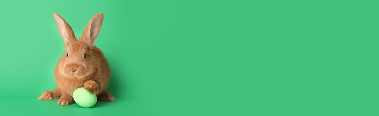 Cute bunny and Easter egg on green background