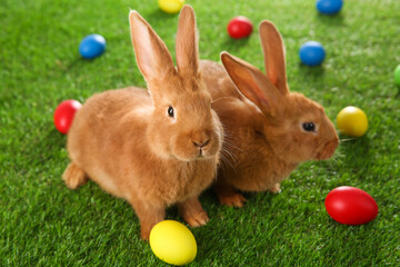 Cute bunnies and Easter eggs on green grass