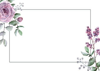  Rectangular frame, composition of eucalyptus, berry branch, white mistletoe, delicate rose. Watercolor hand drawn illustration on white background for design of cards, wedding invitations, banners.