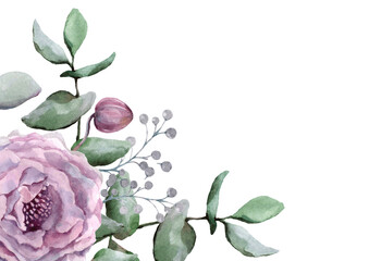 Delicate pink peony, bud, decorative berries, green branches of eucalyptus in a flower bouquet on a white background. Hand drawn watercolor for the design of cards, wedding invitations, packaging.