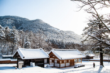 Korea Winter Temple White Snow White Sky White Tree