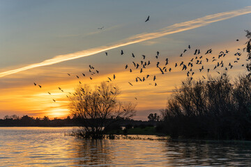 Atardecer en Doñana