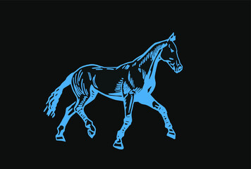 Vector color illustration,graphical horse on black background