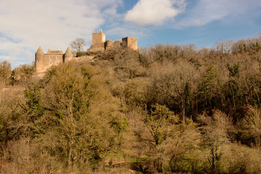 Le château de Brancion est un ancien château fort, du 13ième siècle, dont les vestiges se dressent sur la commune de Martailly-lès-Brancion dans le département de Saône-et-Loire, en région Bourgogne.