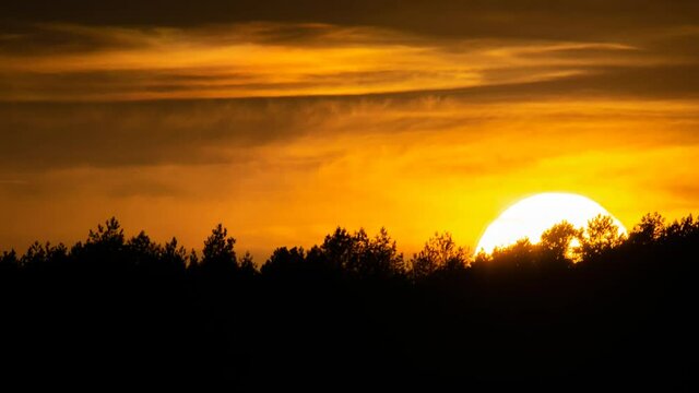 Sonne geht unter an der Waldgrenze Gro&szlig;aufnahme der Sonne im Zeitraffer