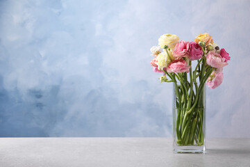 Beautiful ranunculus flowers in glass vase on table. Space for text