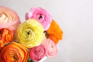 Beautiful ranunculus flowers against light background, closeup. Space for text