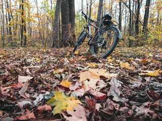 Bicycle lean against a tree amid colorful leaves in autumn forest. Active lifestyle seasonal foliage. Riding bicycle in autumn forest.