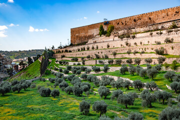 View of the Golden Gate of the walls of the old city of from the Mount of Olives. Mount of Olives - since biblical times, there was a Jewish cemetery. Middle East, Jerusalem, Israel.