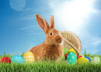 Cute bunny and colorful Easter eggs on green grass outdoors