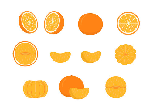 Set of ripe orange mandarin - whole, cut half, piece and slice of mandarin. Mandarin, tangerin or clementine. Fresh sour citrus fruit with vitamins. Vector illustration isolated on white background