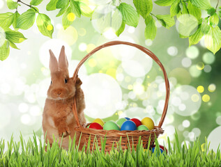 Cute bunny and wicker basket with colorful Easter eggs on green grass outdoors
