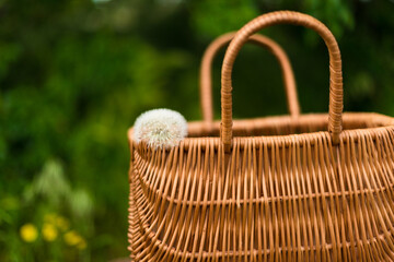 Fototapeta na wymiar a basket with blowball standing on the old chair.Herb,organic,poscards.
