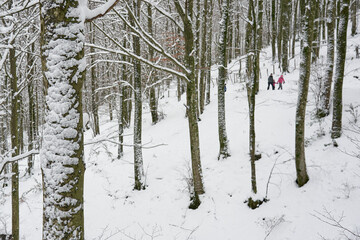 Family walking in a snowy forest