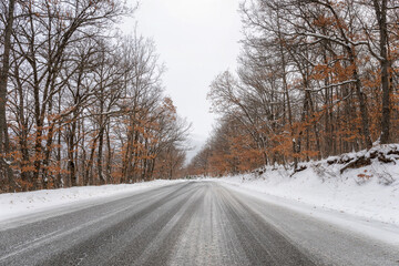 Obraz premium White road in the snowy forest