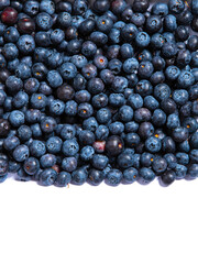 Eco-friendly Blueberry Background. Textured bilberry backdrop, close up with copy space. Healthy vegan eating, vitamins