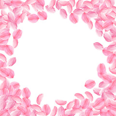 Sakura petals falling down. Romantic pink bright big flowers. Thick flying cherry petals. Circle fra