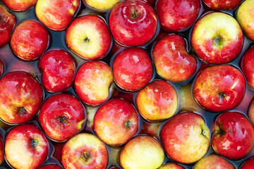 Red apples from own garden in water close up. Nature organic eco food background