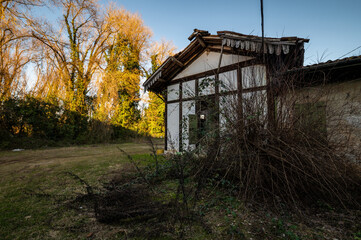 Abandoned village surrounded by climbing vegetation, beautiful brushwood detail of the reflections of the sun among the ruins, blue sky in a cold February day in northern Italy.