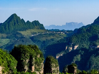 Forest and mountains