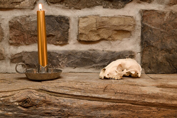 Vintage pewter candle holder with racoon skull on rustic weathered pine mantelpiece over stone fireplace