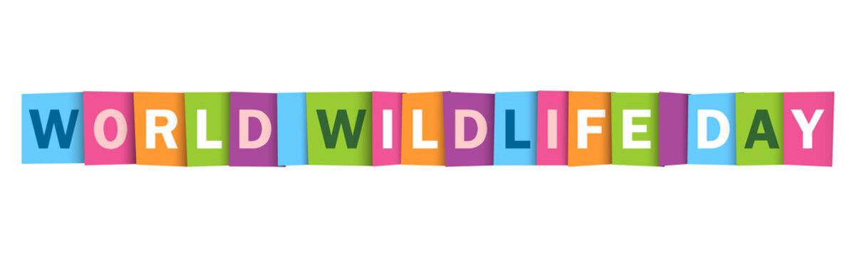 WORLD WILDLIFE DAY colorful vector typography banner isolated on white background