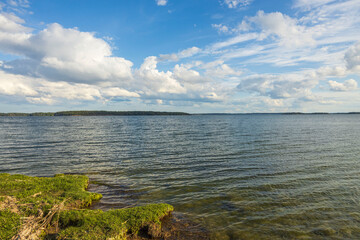 Fototapeta na wymiar Beautiful natural Baltic sea landscape view. Green grass sea coast and calm water surface. Sweden.