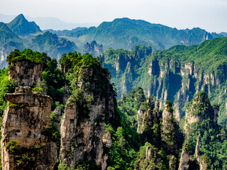 Forest and mountains