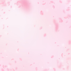 Sakura petals falling down. Romantic pink flowers vignette. Flying petals on pink square background.