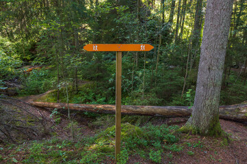 Close up view of wooden orange pointer for tourists in green forest. Sweden.