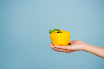 female hand with yellow bell pepper isolated on blue