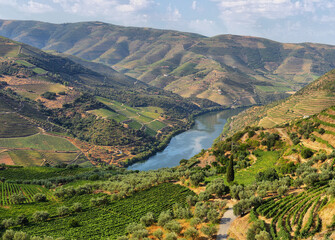 Scenic view of Alto Douro Vinhateiro, Portugal