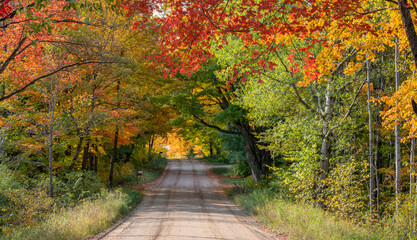 Colorful Autumn Scenic drive in central Michigan countryside