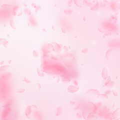 Sakura petals falling down. Romantic pink flowers explosion. Flying petals on pink square background